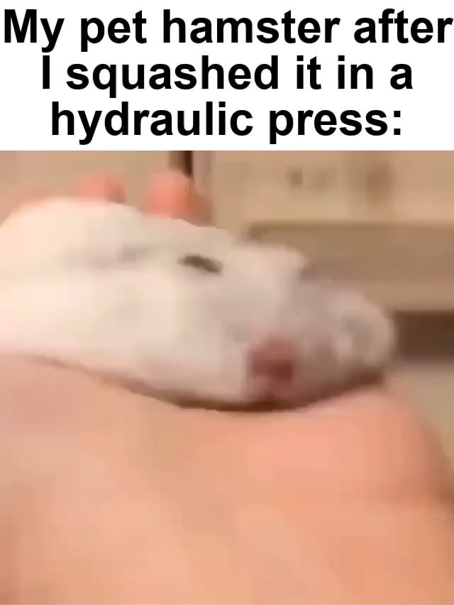 Hamster blowjob meme Crossdresser ass nude