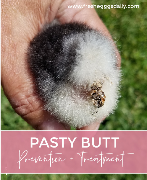 Pasty butt in chickens Boys photos xxx