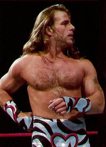 Shawn michaels shirtless Casey